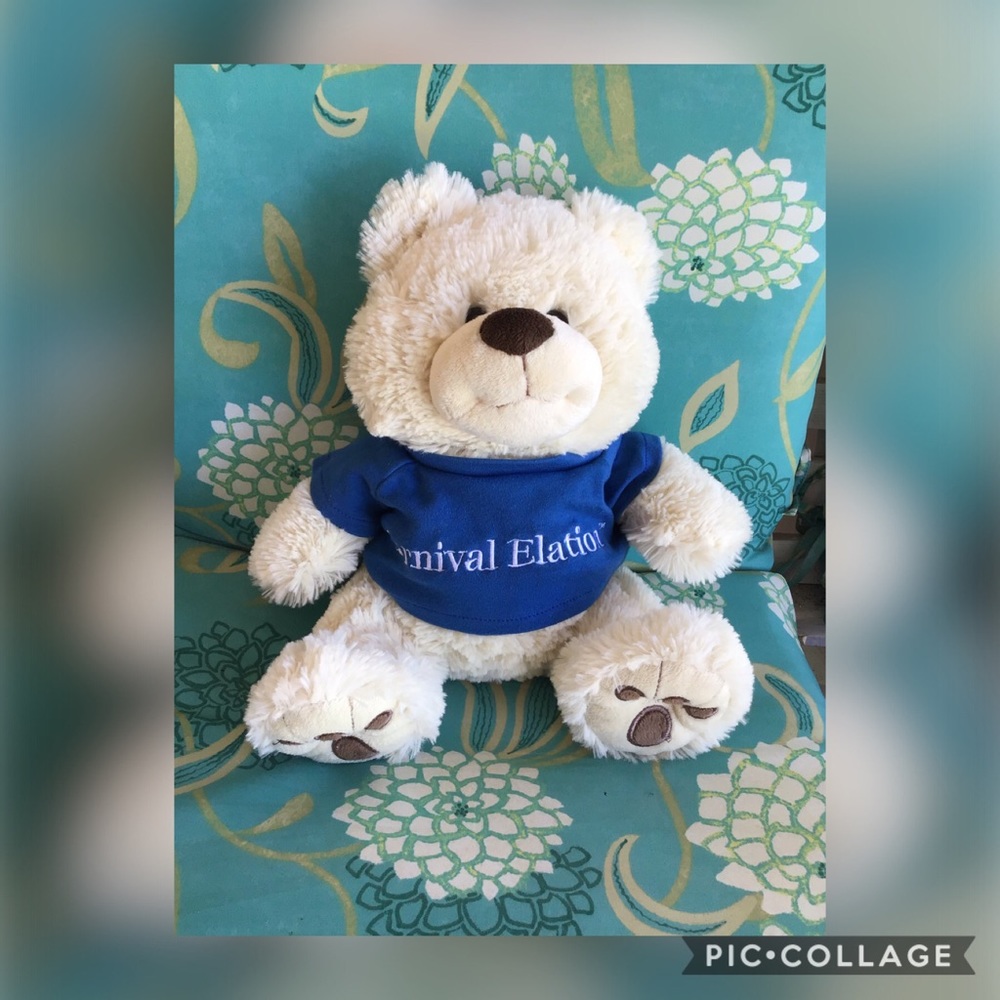 Carnival Elation Plush
